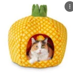 Pinapple Cat House 