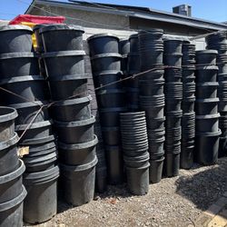 Plant Pots (check description for prices)