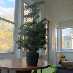It's A Christmas Tree And It Works And A Friend Of Mine Just Gave It To Me So Yeah I Don't Want It No More