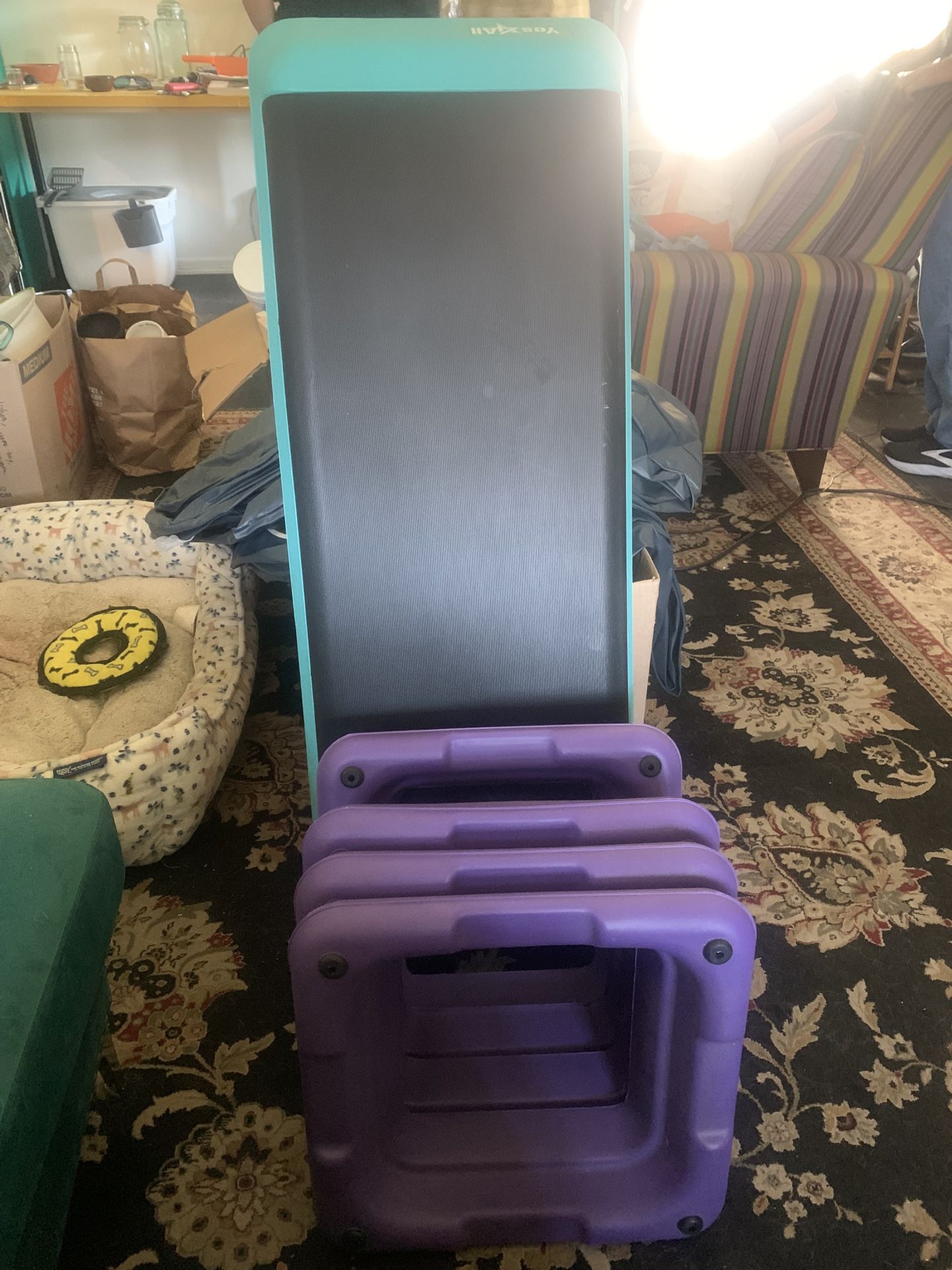 Exercise Aerobic Step