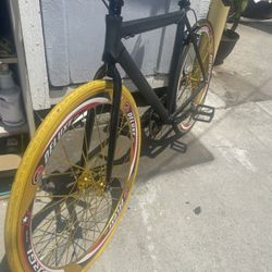 Fixed Bike