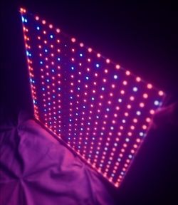 100 Watt, Full Spectrum, LED-red&blue grow light panel