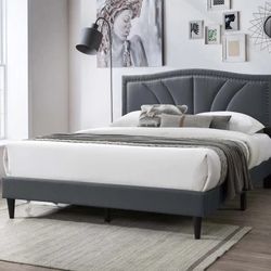 Queen Grey Euro Plain With Ortho Matres!!