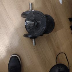 Dumbells And Bar 
