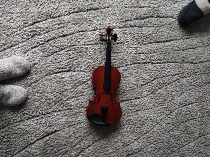 Violin