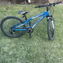 Blue TREK MT220 Bike