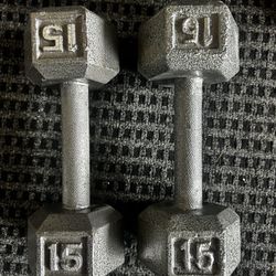 15 LB Weights