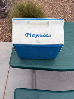 Playmate cooler