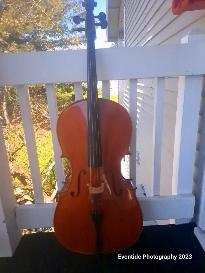 Full size intermediate cello