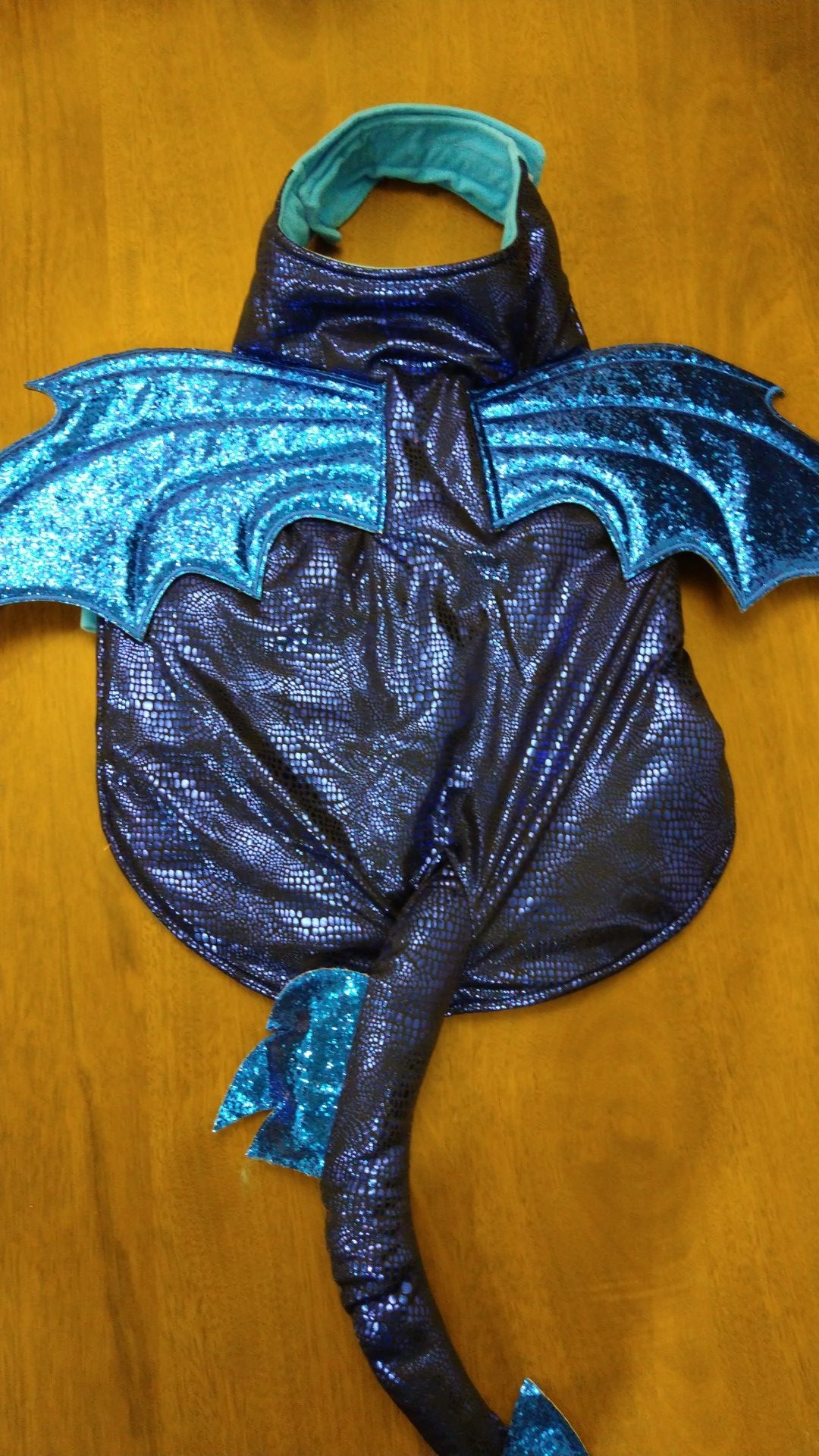 Blue dragon pet costume