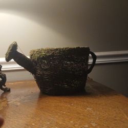 Green Moss Water Pitcher Plant Holder