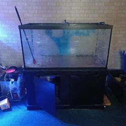 Fish Tank 120 Gallon