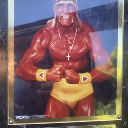 HULK HOGAN