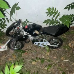 50cc pocket Bike