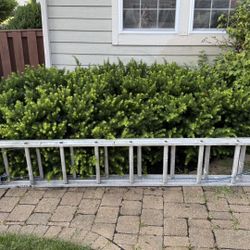 Ladder