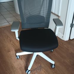Autonomous Ergo Chair Pro Excellent Condition 