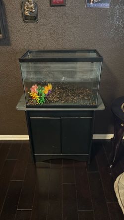 Fish tank or reptile cage with stand