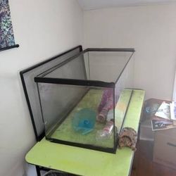 Large Glass Terrarium + Rodent Accessories (Great for Mice/Hamsters)
