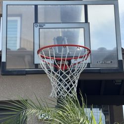 Lifetime Basketball Hoop
