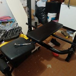 Olympic Bench Pheonix 