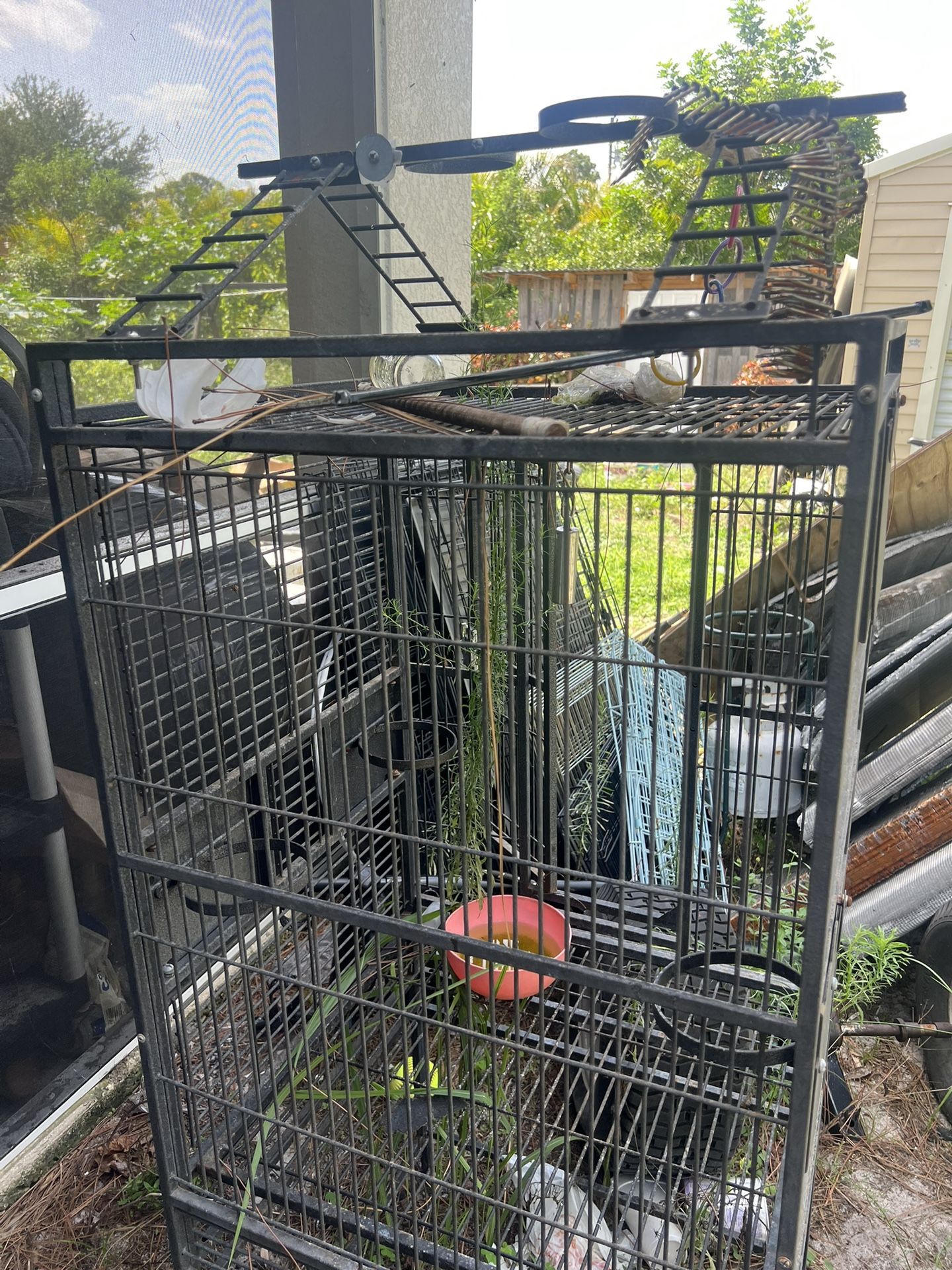Pigeon Cage
