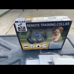 New Dog Training Collar 