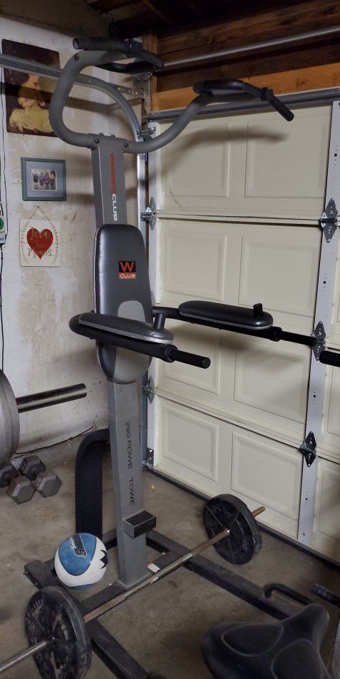 Weider Power Tower Pullups And Dips