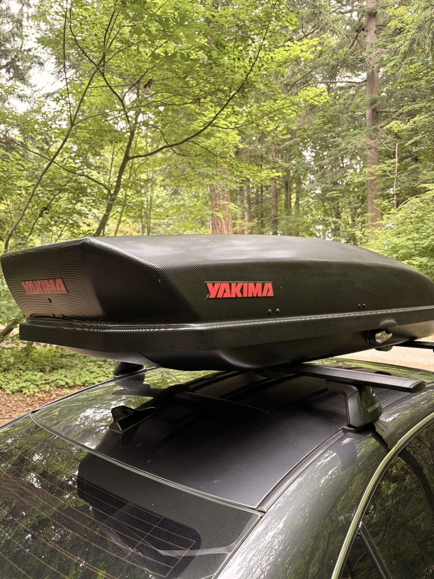 Yakima Skybox Cargo Box