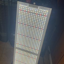 Viparspectra Grow Light