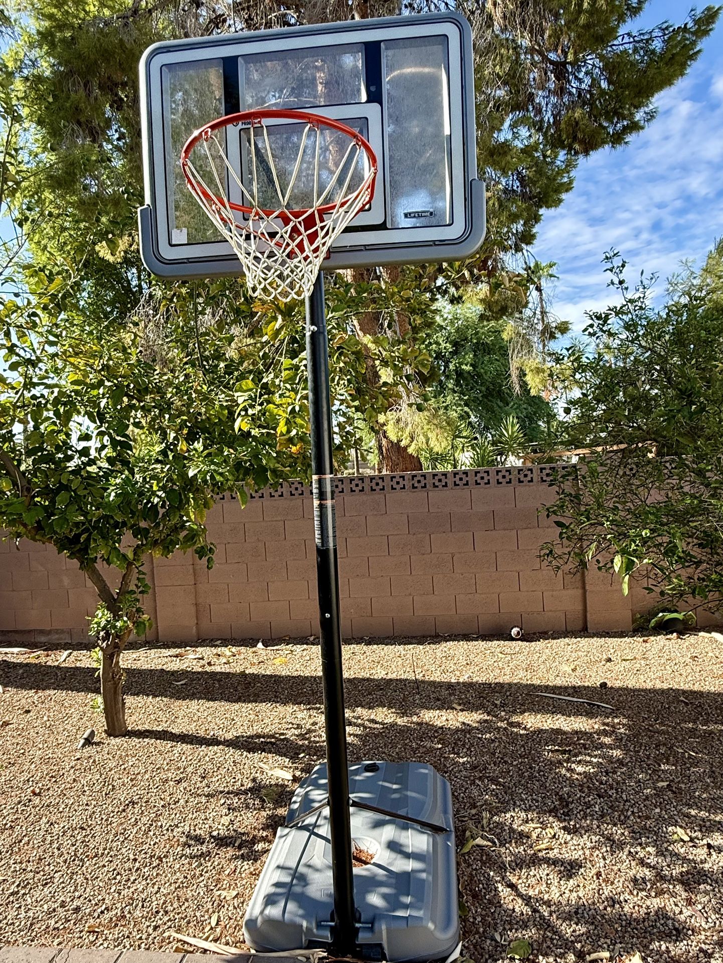 Lifetime Adjustable Basketball Hoop