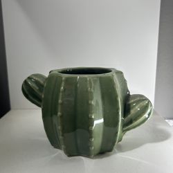 Cactus Plant Holder