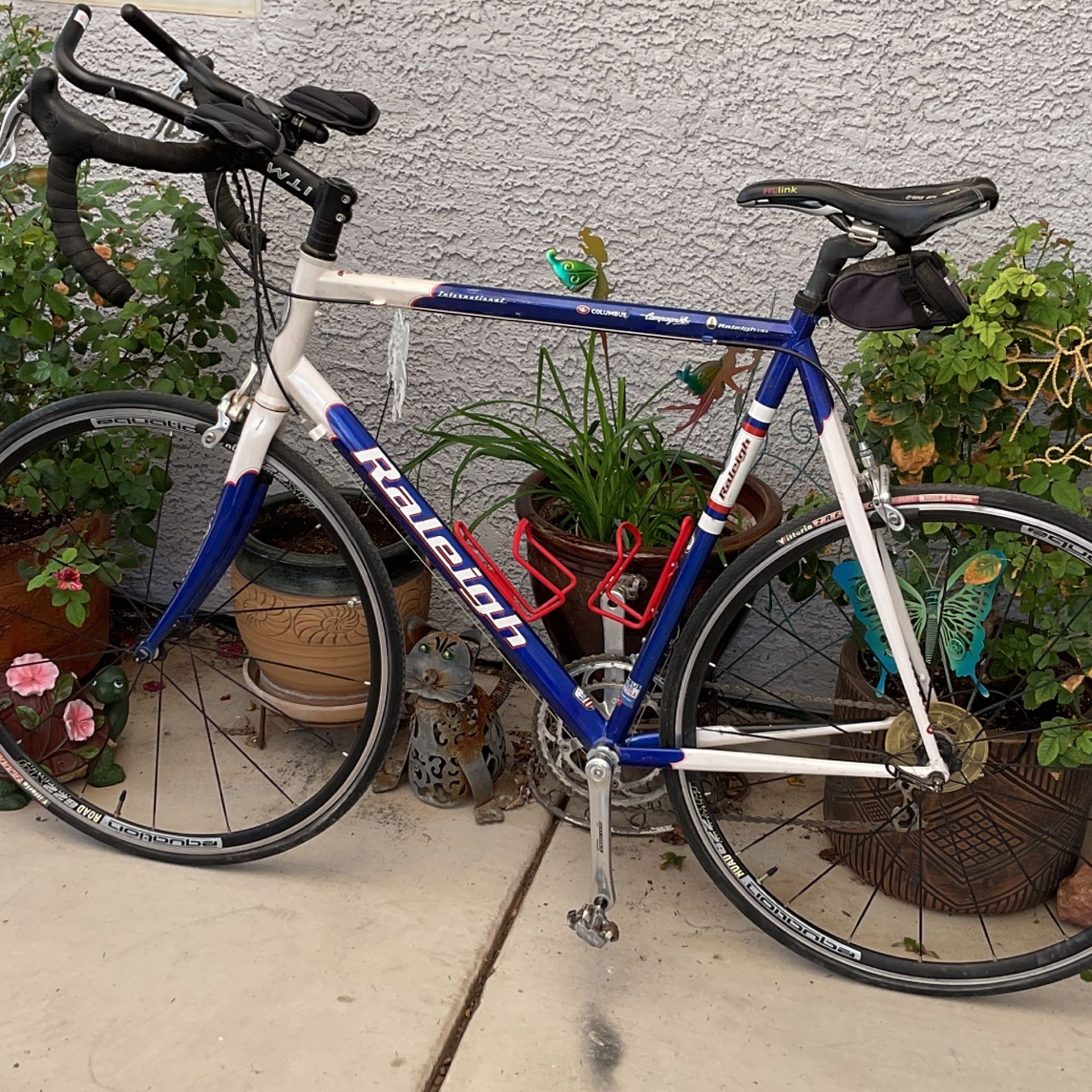 Raleigh Columbus International 59cm, Road Bike Made In USA