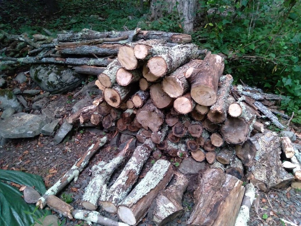 SEASONED FIREWOOD LOWEST PRICES AROUND