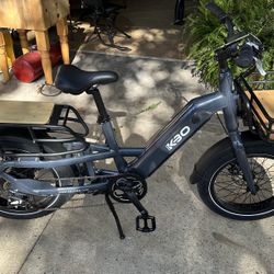 Electric Cargo Bike /Grocery Getter