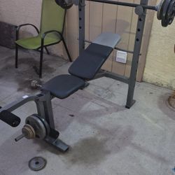 Bench and Leg Workout Machine