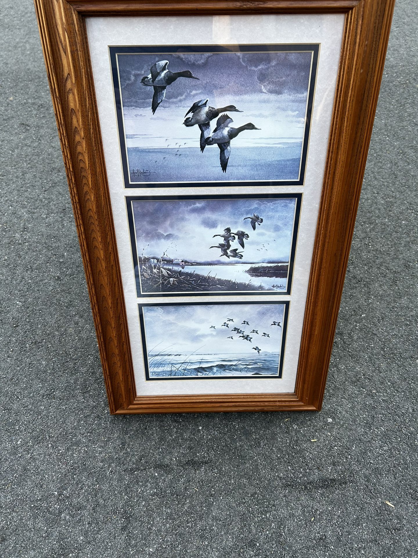 Duck Painting