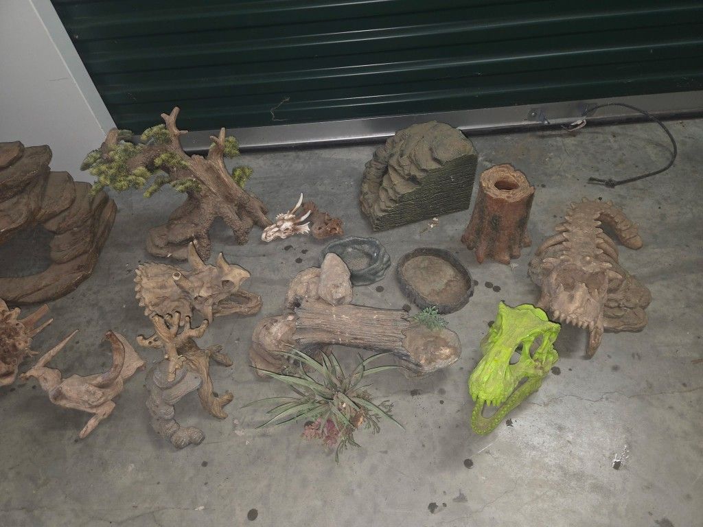 Reptile Accessories