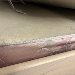 Twin box Spring ( Free)