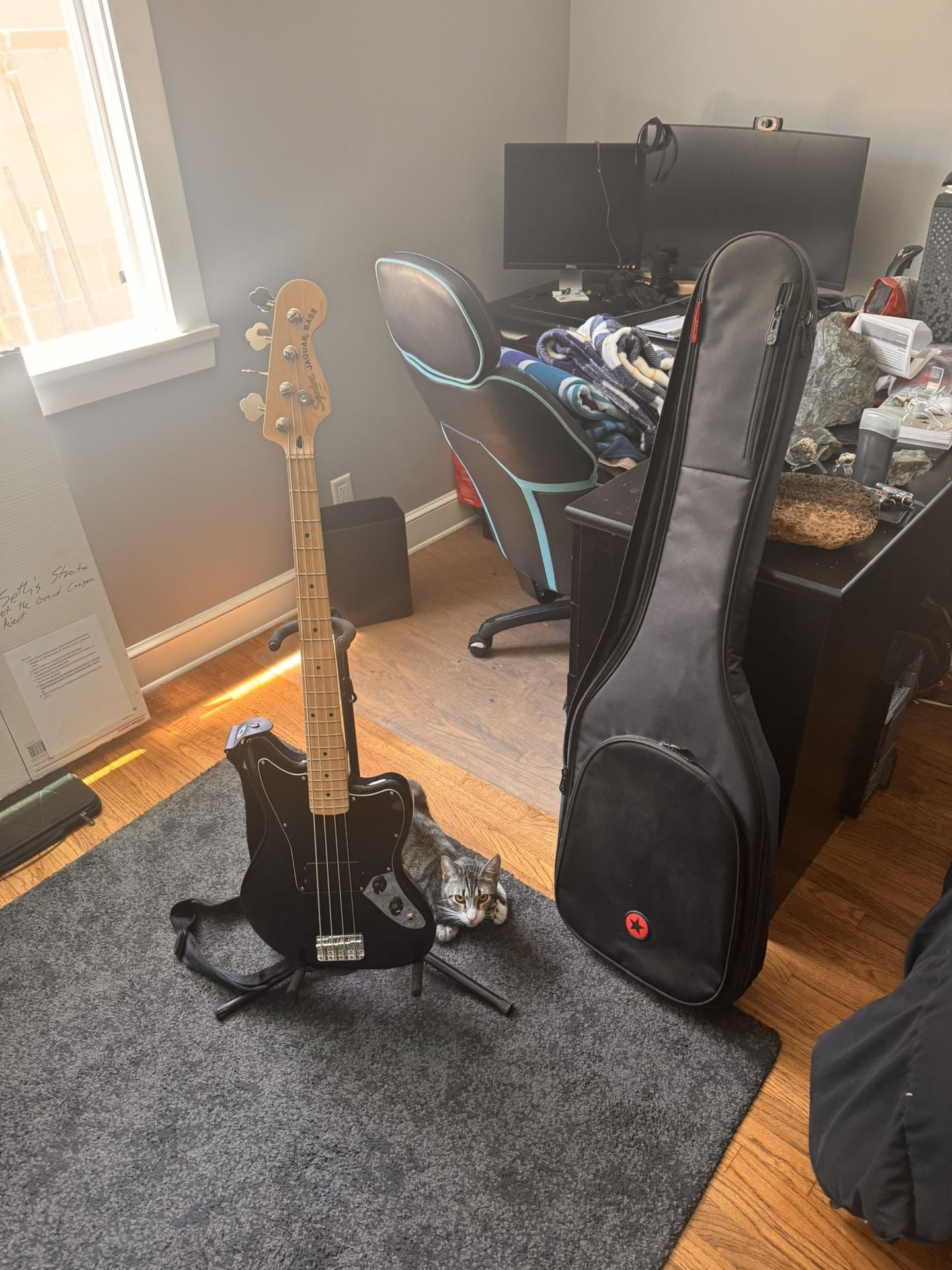 Fender Squier Jaguar Bass