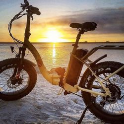 veego fat tire electric bike - electric bicycle $1900