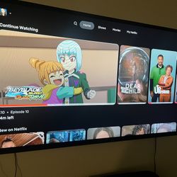 65 In Vizio Tv 