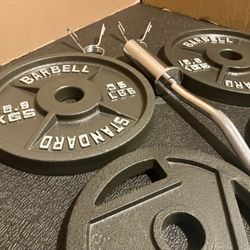 BRAND NEW Olympic Curl Bar With Cast Iron Weight Plates; 35#, 25#, 10#, 5 and 2.5#  (170 pounds)