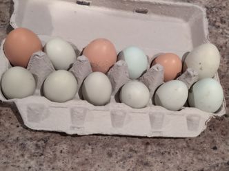 Farm fresh eggs