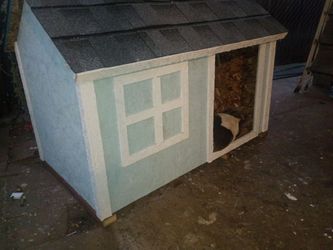 Extra large dog house
