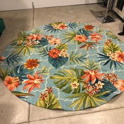 Indoor/Outdoor rug 7’10” round. Used only one month. Great condition. Great price.