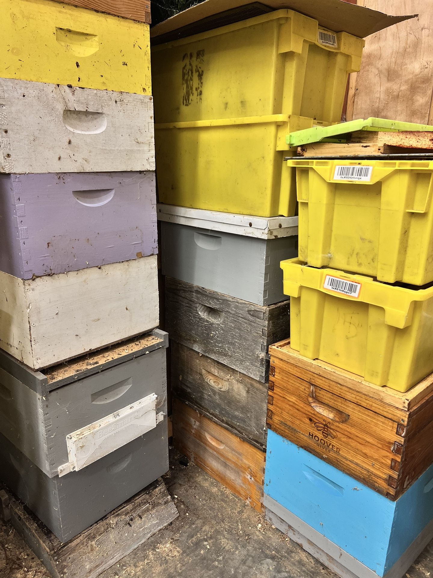 Bee Hives, Without Honey Bees