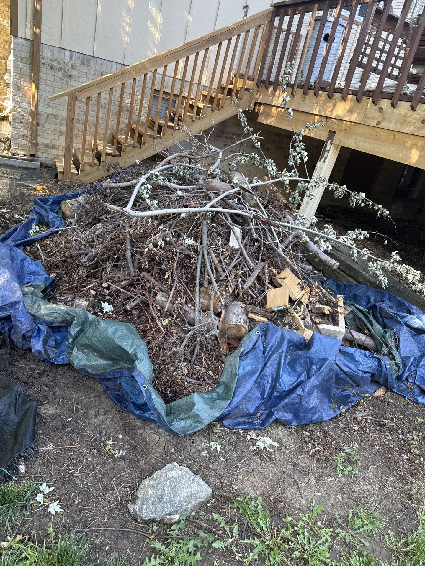 FREE Kindling & Firewood – Cut Your Own