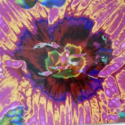 Vibrant Flower Orchid Artist Photograph Double Matted - Ready To Pop Into Frame 11 X 14