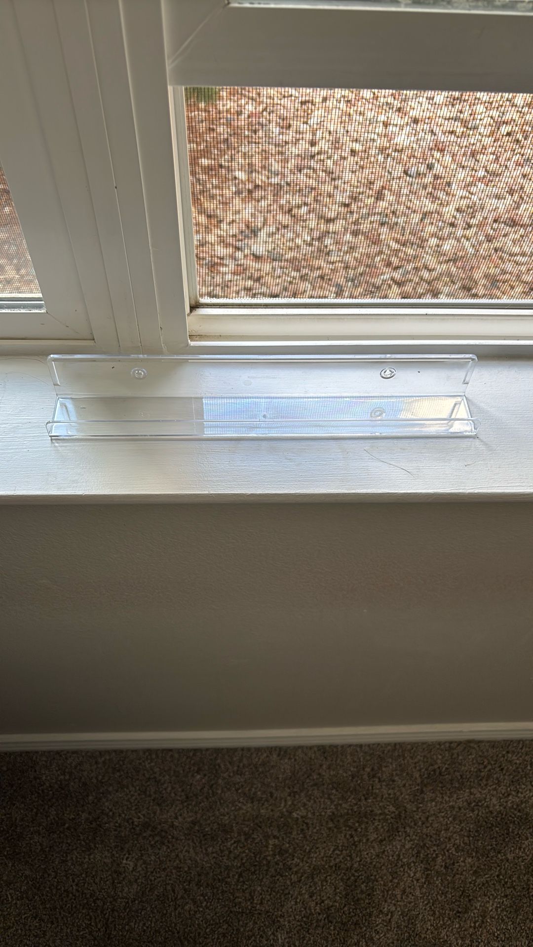 Plastic Record Shelves 