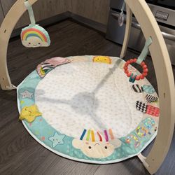 Baby Play Gym